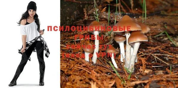 МДПВ Козельск