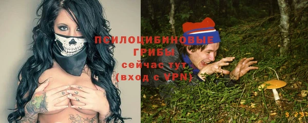МДПВ Козельск