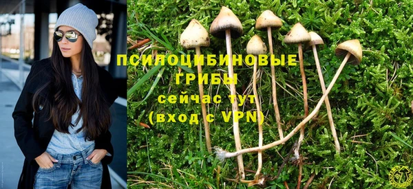 МДПВ Козельск