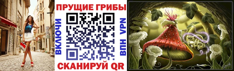 Псилоцибиновые грибы Psilocybine cubensis  Нижний Новгород 